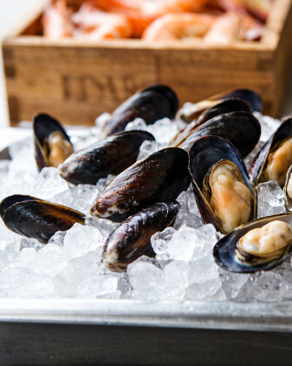 Mussels