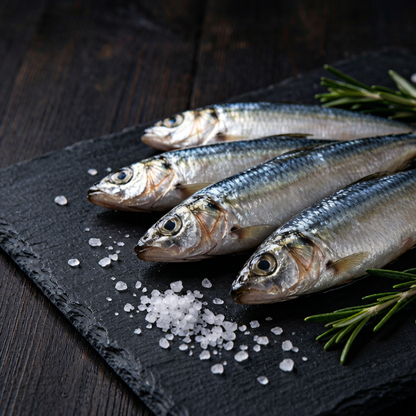 Sardine